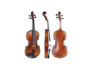 Gewa Violon Maestro 2 VL4 4/4