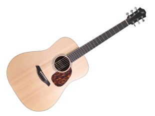 Furch Blue Dreadnought SW