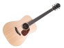 Furch Blue Dreadnought SW
