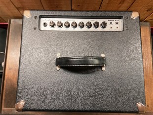 Ibanez Wholetone WT80 Occasion + Housse