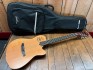Godin Multiac ACS Slim SA Nylon SG Occasion + Housse