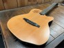 Godin Multiac ACS Slim SA Nylon SG Occasion + Housse