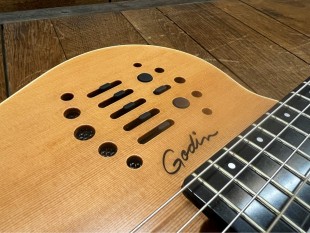 Godin Multiac ACS Slim SA Nylon SG Occasion + Housse