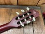 Godin Multiac ACS Slim SA Nylon SG Occasion + Housse