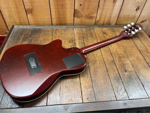 Godin Multiac ACS Slim SA Nylon SG Occasion + Housse