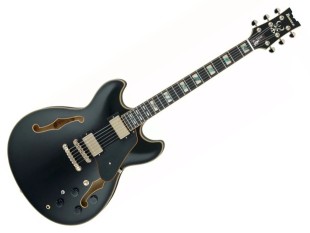 Ibanez JSM20BKL John...