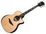Lag HyVibe 50 Auditorium Cutaway Electro HV50ACE
