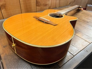Takamine Occasion TSF40C Santa Fe + Etui