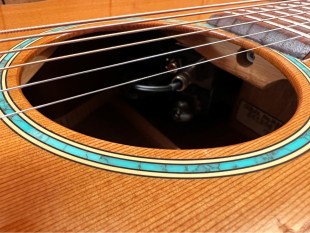 Takamine Occasion TSF40C Santa Fe + Etui