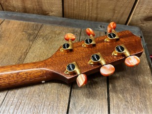 Takamine Occasion TSF40C Santa Fe + Etui
