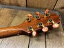 Takamine Occasion TSF40C Santa Fe + Etui