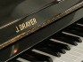 J.Drayer Occasion WG-5 Black