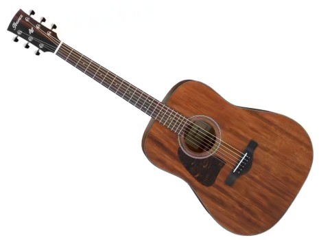 Ibanez AW54L-OPN Natural Artwood