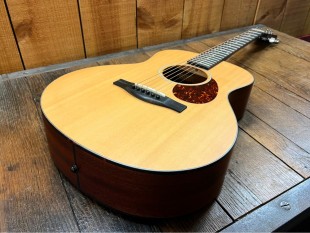 Eastman Occasion ACTG1 + Housse