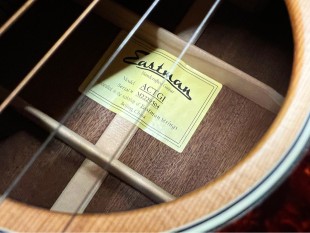 Eastman Occasion ACTG1 + Housse