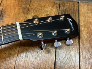 Eastman Occasion ACTG1 + Housse