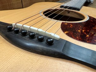 Eastman Occasion ACTG1 + Housse