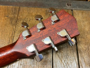 Eastman Occasion ACTG1 + Housse