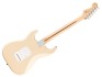 Fender Signature Jimmie Vaughan Tex-Mex Stratocaster MN Olympic Whitr