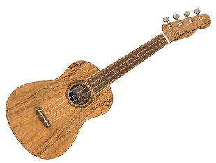 Fender Ukulele Zuma Exotic...