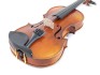 Gewa Violon Maestro 2 VL4 4/4 GS400.081.234.6