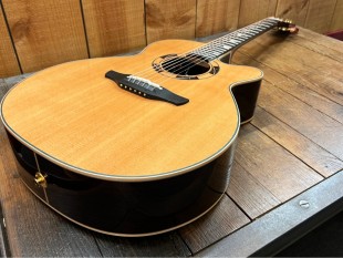 Takamine Occasion TSF48C Santa Fe + Softcase
