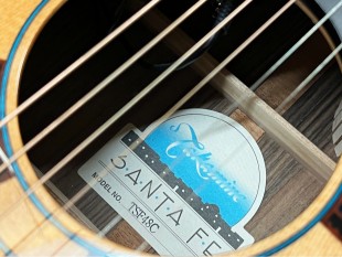 Takamine Occasion TSF48C Santa Fe + Softcase