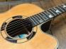 Takamine Occasion TSF48C Santa Fe + Softcase