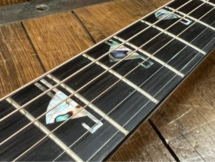 Takamine Occasion TSF48C Santa Fe + Softcase