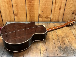 Takamine Occasion TSF48C Santa Fe + Softcase