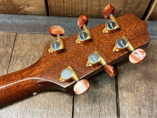 Takamine Occasion TSF48C Santa Fe + Softcase