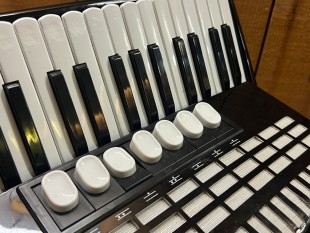 Hohner Student 72 Noir Touches Piano en Etui Occasion