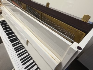 A. Grand Piano Occasion 108 White + Banquette