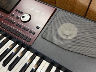 Korg Occasion PA-700