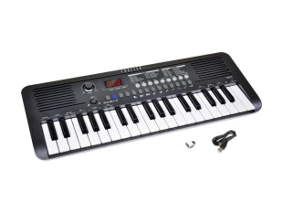 Farfisa FK-370 Mini Clavier...