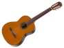 Pleyel P200