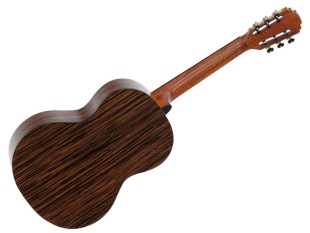 Pleyel P800 Expression