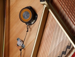 Kawai K200 Aures 2 E/P Noir Gold