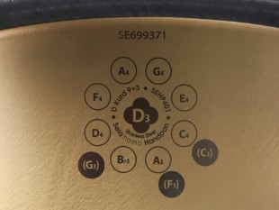 Sela Nomo Handpan Re Kurd 9 + 3 Notes 440 Hz SEHP401