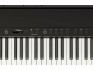 Roland FP-40 Black