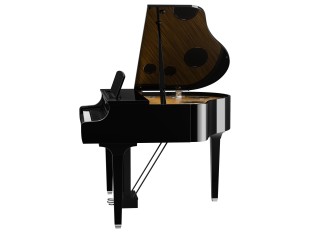 Yamaha Clavinova CLP-895GP Polished Ebony