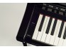 Yamaha Clavinova Smart Piano CSP-255PE Polished Ebony