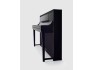 Yamaha Clavinova Smart Piano CSP-295PE Polished Ebony