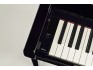Yamaha Clavinova Smart Piano CSP-295PE Polished Ebony