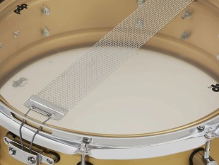 PDP by DW Caisse Claire 14X5 Concept Serie Brushed Brass PDSN0514NBBC
