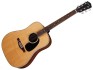 Eastman PCH2-D Natural