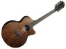Lag Sauvage J12CE Jumbo 12 Cordes