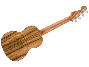 Fender Ukulélé Dhani Harrison Turquoise