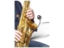 Prodipe SB21 Lanen Micro Sax & Brass