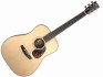 Furch Vintage 1 Dreadnought D-SR